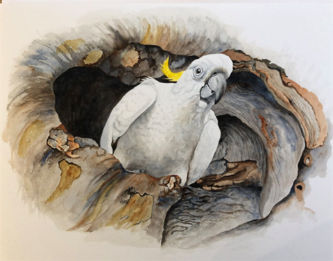 Jenny Elks, Can I Come Out Now? 2020. Watercolour, 70 x 55 cm