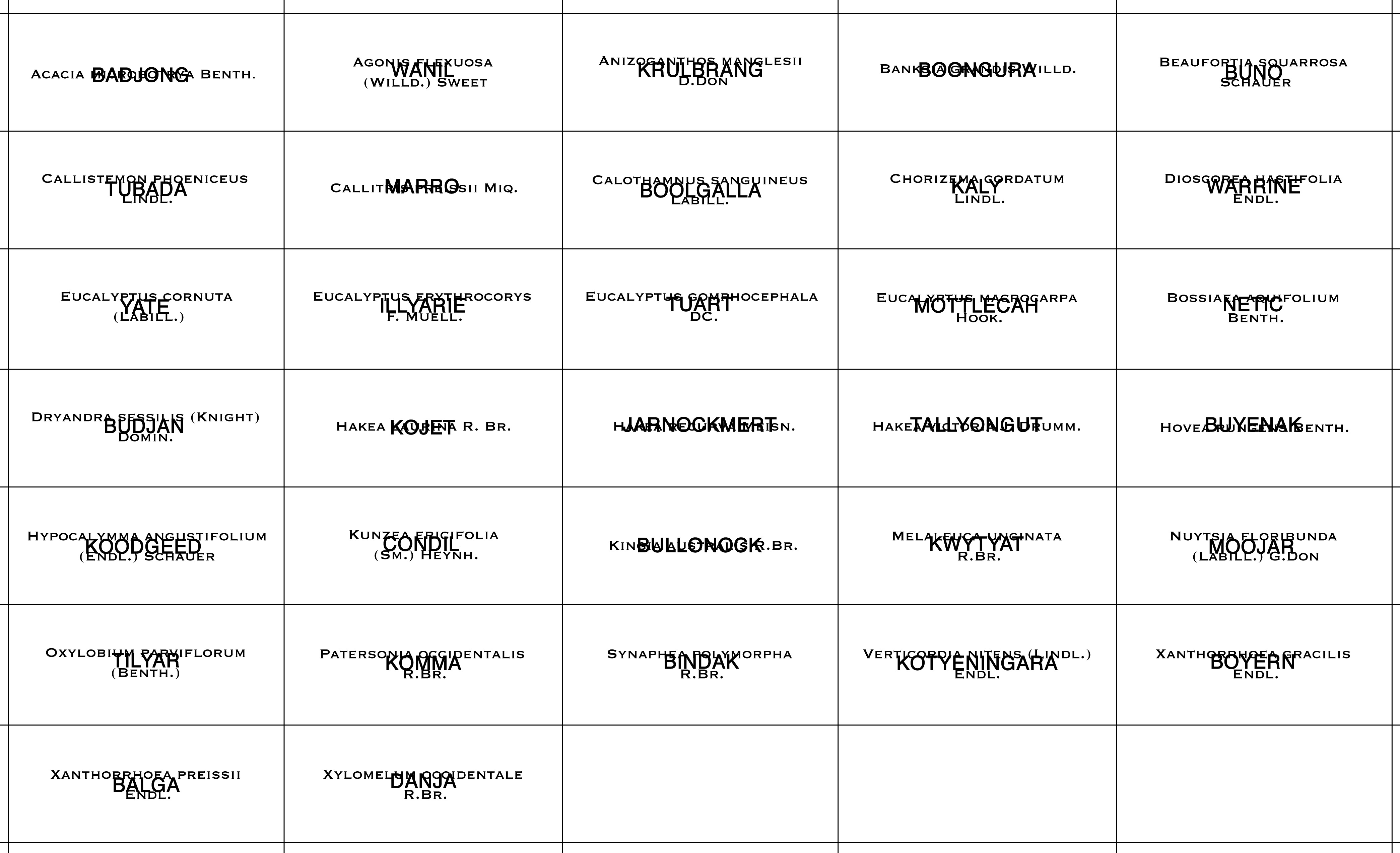 plant tags overwritten.jpg