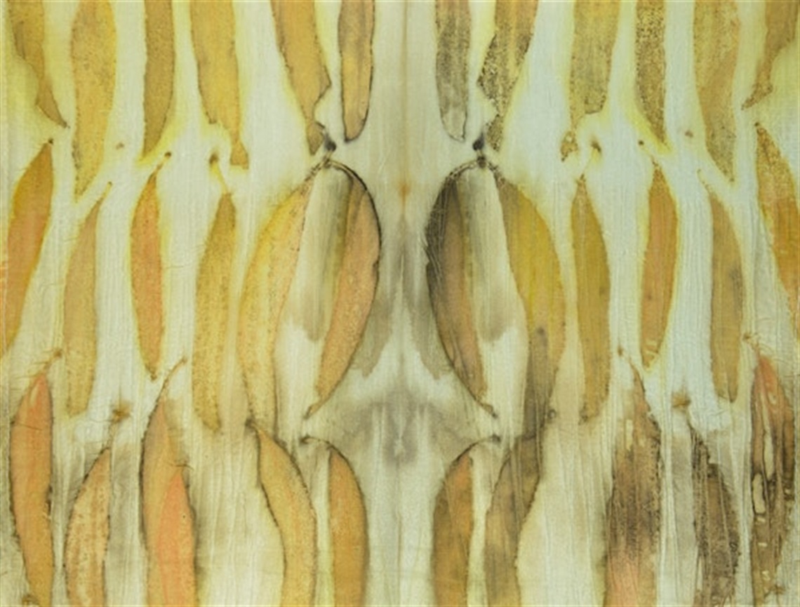 MainImage.jpg